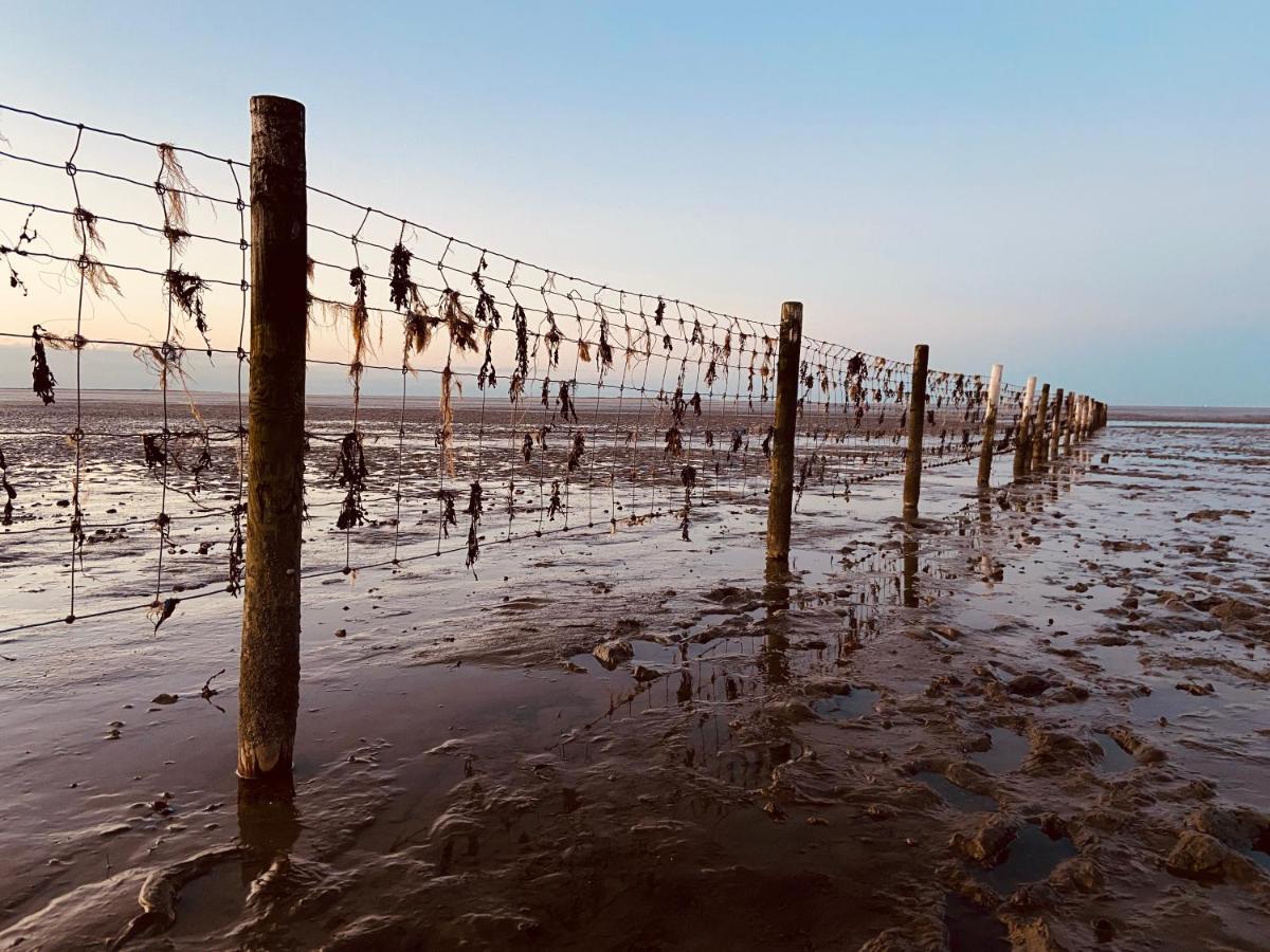 Ferien Im Wangerland Ferienwohnung Insel Minsen Schillig Hund Pool Sauna Esterno foto